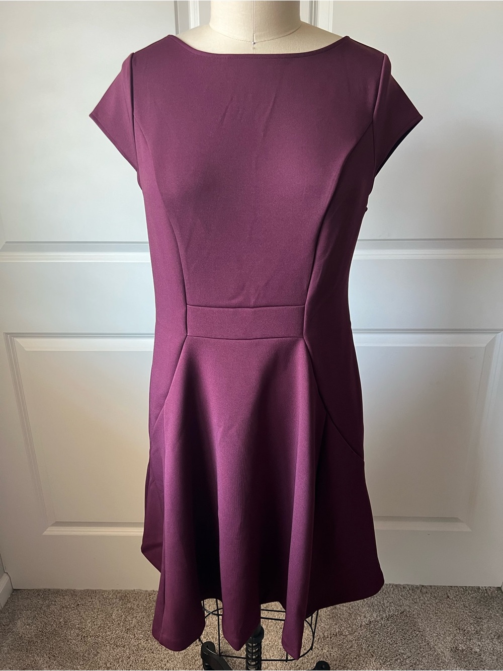 NWOT The Limited Plum Fit-and-Flare Cap-Sleeve Mini Dress